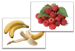 Дидактическое пособие "Фрукты, ягоды, орехи" (24 карточки) - fgospostavki.ru - Махачкала