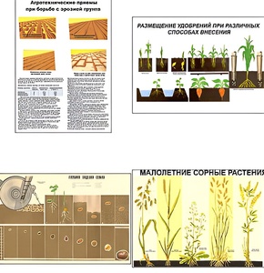 Плакаты ПРОФТЕХ "Агрономия" (5 пл, винил, 70х100) - fgospostavki.ru - Махачкала