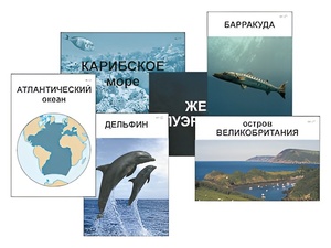 Модель-аппликация "Океаны. Знакомство" (ламинированная) - fgospostavki.ru - Махачкала