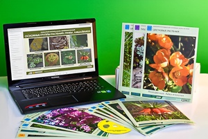 Гербарий натурально-интерактивный "Основные группы растений. Грибы. Лишайники" - fgospostavki.ru - Махачкала