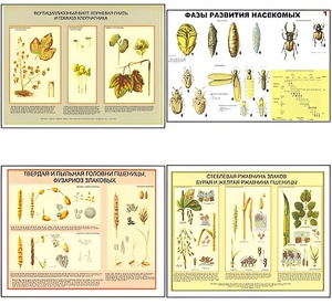 Плакаты ПРОФТЕХ "Вредители и болезни с/х культур и меры борьбы с ними" (11 пл, винил, 70х100) - fgospostavki.ru - Махачкала