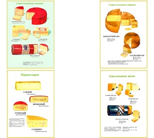 Плакаты ПРОФТЕХ "Ассортимент сыров" (9 пл, винил, 70х100) - fgospostavki.ru - Махачкала