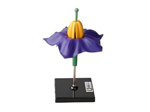 Модель цветка картофеля - fgospostavki.ru - Махачкала