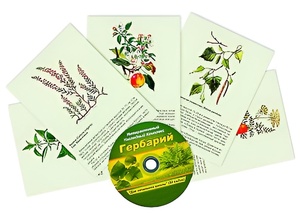 Интерактивный наглядный комплекс "Гербарий "Для начальной школы" - fgospostavki.ru - Махачкала