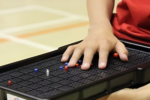 Сетка для игры тактильная (Бочча) - fgospostavki.ru - Махачкала