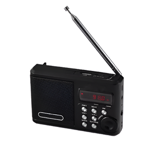 Радиоприемник цифровой с крупными кнопками - fgospostavki.ru - Махачкала