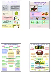 Плакаты ПРОФТЕХ "Классификация овощей и переработка" (8 пл, винил, 70х100) - fgospostavki.ru - Махачкала