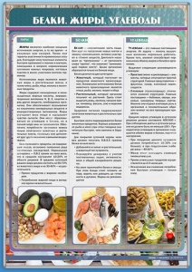 Стенд "Белки. Жиры. Углеводы" - fgospostavki.ru - Махачкала