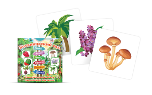 Набор карточек "Ботанический сад" - fgospostavki.ru - Махачкала