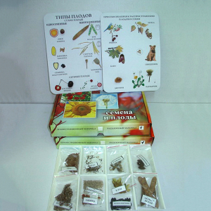 Коллекция "Семена и плоды с раздаточным материалом" - fgospostavki.ru - Махачкала