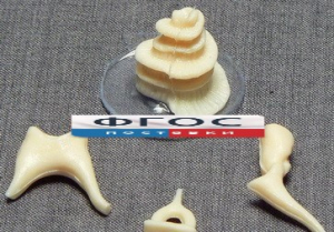 Модель "Косточки слуховые" - fgospostavki.ru - Махачкала