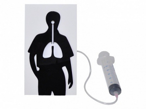 Демонстрационная модель "Эффект курения" - fgospostavki.ru - Махачкала