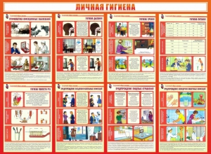 Стенд "Личная гигиена" - fgospostavki.ru - Махачкала