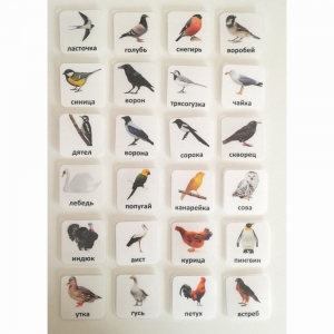 Набор карточек "ПТИЦЫ" - fgospostavki.ru - Махачкала