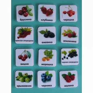 Набор карточек "Ягоды" - fgospostavki.ru - Махачкала