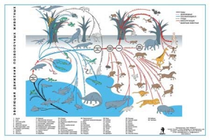 Комплект таблиц "Эволюция движений позвоночных животных" - fgospostavki.ru - Махачкала