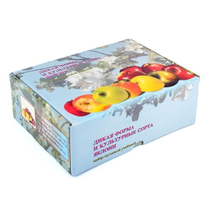 Набор муляжей "Дикая форма и культурные сорта яблок" - fgospostavki.ru - Махачкала