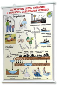 Плакаты по общей экологии для оформления кабинета. - fgospostavki.ru - Махачкала