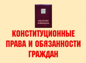 Комплект плакатов "Конституционные права и обязанности граждан" - fgospostavki.ru - Махачкала