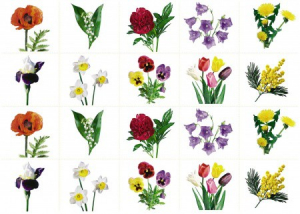 Комплект карточек "Запоминай, играй, считай" - Цветы - fgospostavki.ru - Махачкала