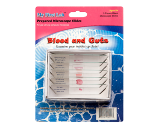 Набор микропрепаратов для микроскопа №1 «Человек» - fgospostavki.ru - Махачкала