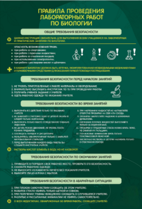 Стенд "Правила выполнения лабораторных работ по биологии" Вариант 1 - fgospostavki.ru - Махачкала