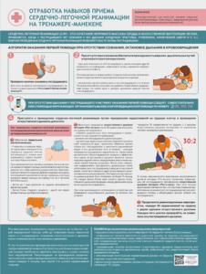 Стенд "Отработка приемов сердечно-легочной реанимации на тренажере-манекене" - fgospostavki.ru - Махачкала
