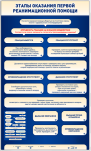 Электрифицированный стенд-тренажер "Этапы оказания первой реанимационной помощи" - fgospostavki.ru - Махачкала