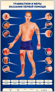 Электрифицированный стенд-тренажер "Травматизм и меры оказания первой помощи" - fgospostavki.ru - Махачкала