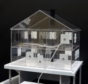 Лабораторная установка для исследования распространения дыма в жилых помещениях - fgospostavki.ru - Махачкала