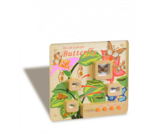 Панель «Жизненный цикл бабочки» - fgospostavki.ru - Махачкала