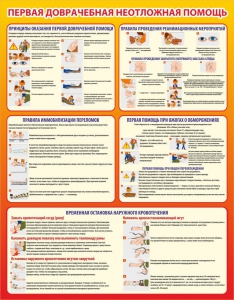 Стенд "Первая доврачебная неотложная помощь" - fgospostavki.ru - Махачкала