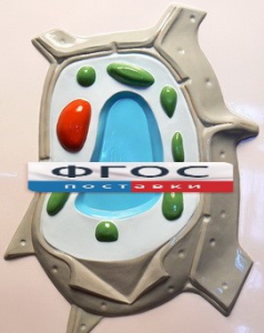 Модель барельефная "Растительная клетка" - fgospostavki.ru - Махачкала