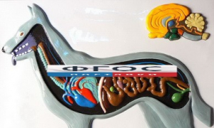 Модель барельефная "Внутреннее строение собаки" - fgospostavki.ru - Махачкала