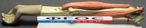 Модель "Локтевой сустав" (подвижная) - fgospostavki.ru - Махачкала
