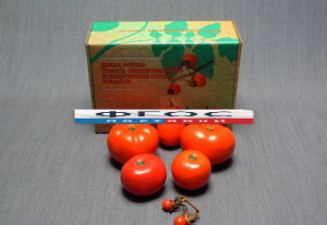 Набор муляжей "Дикая форма и культурные сорта томатов" - fgospostavki.ru - Махачкала