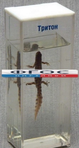 Влажный препарат "Тритон" - fgospostavki.ru - Махачкала