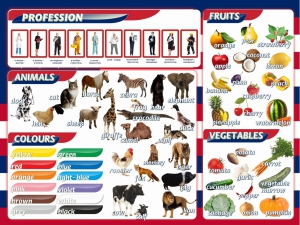 Стенд "Цвета, животные, профессии, фрукты, овощи" - fgospostavki.ru - Махачкала