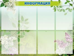 Стенд "Информация" Вариант 13 - fgospostavki.ru - Махачкала