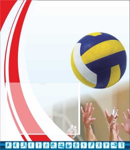 Стенд "Спортивный (волейбол)" - fgospostavki.ru - Махачкала