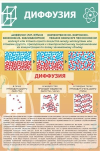 Стенд "Диффузия" - fgospostavki.ru - Махачкала