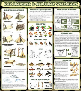 Стенд информационный "Как выжить в суровых условиях" - fgospostavki.ru - Махачкала