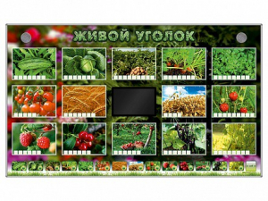 Комплект оборудования "Живой уголок" (растения) - fgospostavki.ru - Махачкала