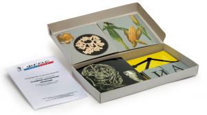 Модель-аппликация "Основные направления эволюции" (набор из 33 карт) - fgospostavki.ru - Махачкала