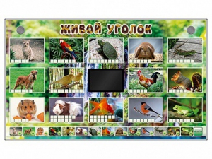 Комплект оборудования "Живой уголок" (животные) - fgospostavki.ru - Махачкала