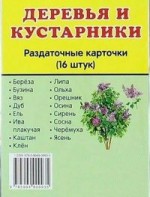 Раздаточные карточки "Деревья и кустарники" - fgospostavki.ru - Махачкала
