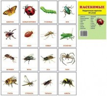 Раздаточные карточки "Насекомые" - fgospostavki.ru - Махачкала