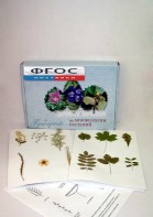 Гербарий "Морфология растений" (5 тем х 3 листа) - fgospostavki.ru - Махачкала