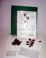 Гербарий к курсу основ общей биологии (20 листов, ламинированный) - fgospostavki.ru - Махачкала