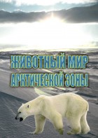 DVD "Животный мир Арктической зоны" - fgospostavki.ru - Махачкала